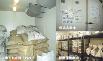 徹底した品質管理