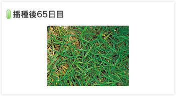 環境緑化関係