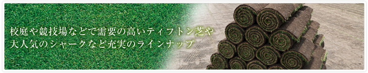 ソッド